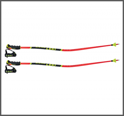 Leki WCR Lite GS 3D